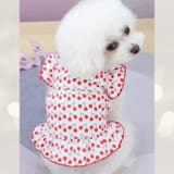 ペットウェア ワンピース 犬服 | PlusNao | 詳細画像7 