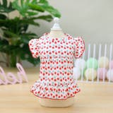 ペットウェア ワンピース 犬服 | PlusNao | 詳細画像8 