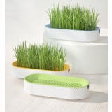 猫草用プランター 水耕栽培 ペット用品 | PlusNao | 詳細画像2 