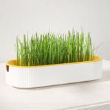 猫草用プランター 水耕栽培 ペット用品 | PlusNao | 詳細画像3 