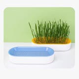 猫草用プランター 水耕栽培 ペット用品 | PlusNao | 詳細画像4 
