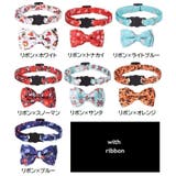 猫用首輪 カラー セーフティバックル | PlusNao | 詳細画像16