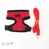 ハーネス リード 2点セット | PlusNao | 詳細画像13 