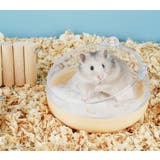 小動物用トイレ ハムスター 砂浴び | PlusNao | 詳細画像6 