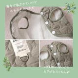 ドッグウェア 犬服 ジャケット | PlusNao | 詳細画像9 