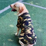 ペットウェア ドッグウェア Tシャツ | PlusNao | 詳細画像2