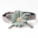 首輪 カラー 犬 | PlusNao | 詳細画像4 