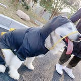 ペットウェア レインコート 犬用 | PlusNao | 詳細画像10 
