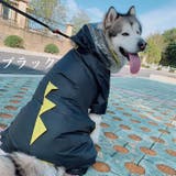 ペットウェア レインコート 犬用 | PlusNao | 詳細画像17 