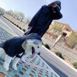 ペットウェア レインコート 犬用 | PlusNao | 詳細画像8 