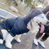 ペットウェア 飼い主とペット 犬 | PlusNao | 詳細画像9 