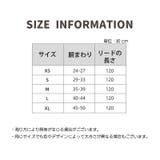 ハーネス リード 2点セット | PlusNao | 詳細画像11