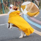 犬用レインコート ペット用品 ペットウェア | PlusNao | 詳細画像3