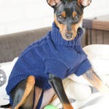 ペットウエア ケーブルニット セーター | PlusNao | 詳細画像2 