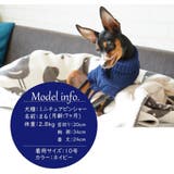 ペットウエア ケーブルニット セーター | PlusNao | 詳細画像6 