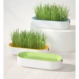 猫草プランター 猫草ポット 猫草ボックス | PlusNao | 詳細画像2 