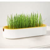 猫草プランター 猫草ポット 猫草ボックス | PlusNao | 詳細画像7 