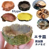 エサ皿 爬虫類 トカゲ | PlusNao | 詳細画像1 