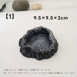エサ皿 爬虫類 トカゲ | PlusNao | 詳細画像7 