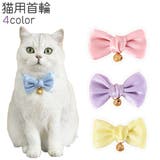 猫用首輪 カラー 猫 | PlusNao | 詳細画像1 