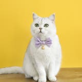 猫用首輪 カラー 猫 | PlusNao | 詳細画像3 