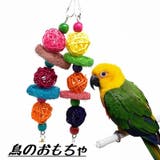 鳥用おもちゃ ペット 鳥 | PlusNao | 詳細画像1 