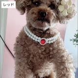ペット用アクセサリー首輪 ネックレス 犬用 | PlusNao | 詳細画像6