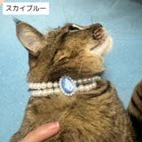 ペット用アクセサリー首輪 ネックレス 犬用 | PlusNao | 詳細画像7