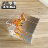 ミニ水槽 ペット用品 インテリア | PlusNao | 詳細画像1