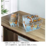ミニ水槽 ペット用品 インテリア | PlusNao | 詳細画像2