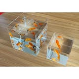 ミニ水槽 ペット用品 インテリア | PlusNao | 詳細画像3