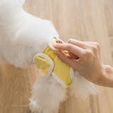 犬用サニタリーパンツ ペット用 パンツ | PlusNao | 詳細画像8 