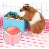 小動物用食器 ケージ ゲージ | PlusNao | 詳細画像2