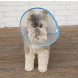 エリザベスカラー ペット用 犬用品 | PlusNao | 詳細画像2 