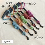 ハーネス リード 犬用 | PlusNao | 詳細画像11 