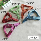 ハーネス リード 犬用 | PlusNao | 詳細画像12 