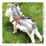 ハーネス リード 犬用 | PlusNao | 詳細画像2 