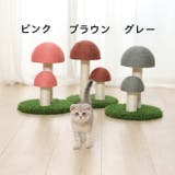 爪とぎ キノコ型 猫用 | PlusNao | 詳細画像8 