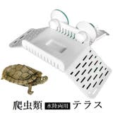 爬虫類 浮島 水槽用 | PlusNao | 詳細画像1 