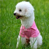 ペットウェア ポロシャツ 犬服 | PlusNao | 詳細画像2