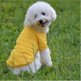 ペットウェア ポロシャツ 犬服 | PlusNao | 詳細画像3