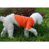ペットウェア ポロシャツ 犬服 | PlusNao | 詳細画像4