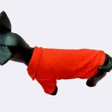 ペットウェア ポロシャツ 犬服 | PlusNao | 詳細画像5