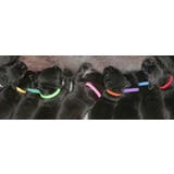 パピーカラー 12色セット 識別用首輪 | PlusNao | 詳細画像2 