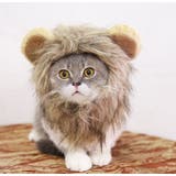 ペット用コスプレ帽子 被り物 かぶりもの | PlusNao | 詳細画像12 