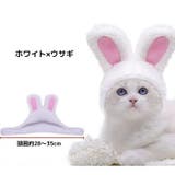 ペット用コスプレ帽子 被り物 かぶりもの | PlusNao | 詳細画像19 