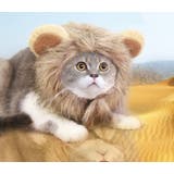 ペット用コスプレ帽子 被り物 かぶりもの | PlusNao | 詳細画像3 