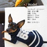 ペット服 Tシャツ ドッグウエア | PlusNao | 詳細画像6