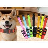 首輪 ペット 犬 | PlusNao | 詳細画像11 