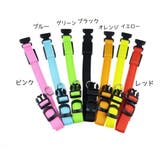 首輪 ペット 犬 | PlusNao | 詳細画像16 